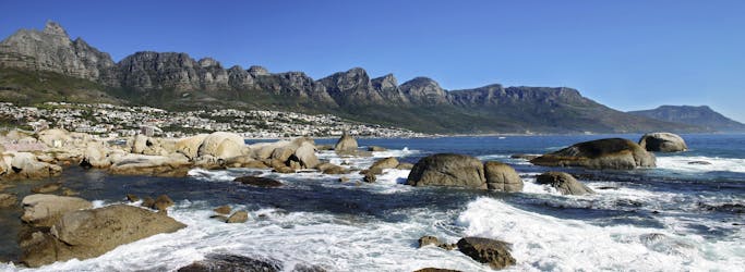 Excursión privada de día completo a la Península del Cabo desde Ciudad del Cabo